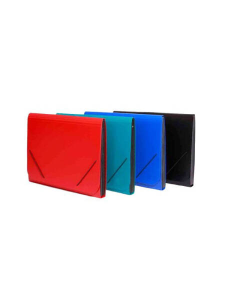 Mapa plastic A4 cu burduf 12 compartimente 412b